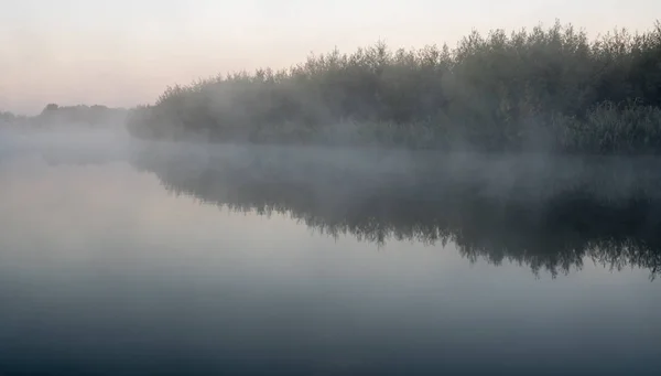 Par Une Matinée Brumeuse Dans Nature Sur Eau — Photo