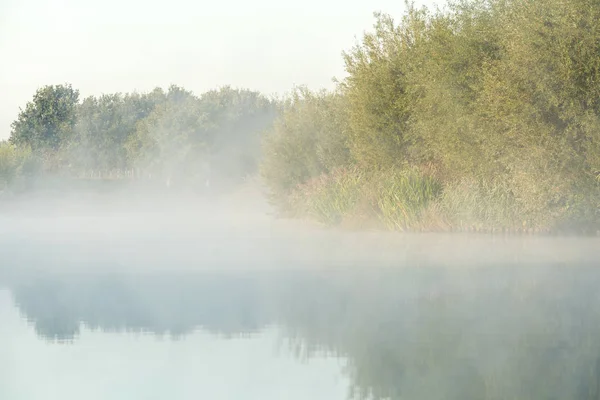 Misty Morning Nature Water — Stock Photo, Image