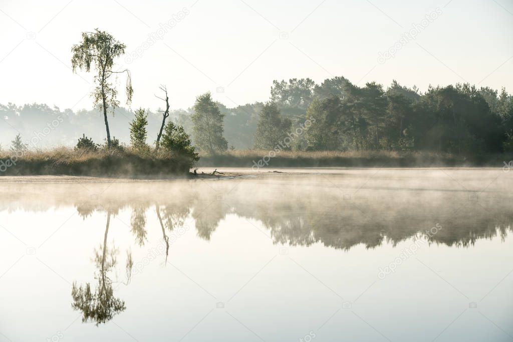 on a misty morning in the nature on the water whit reflection