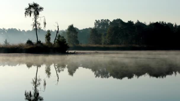 Misty Morning Nature Water Whit Reflection — Stock Video