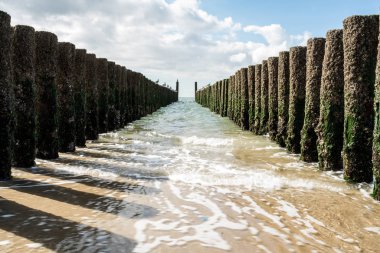 Sahilde dalgaların kırmak ahşap direklerin vardır