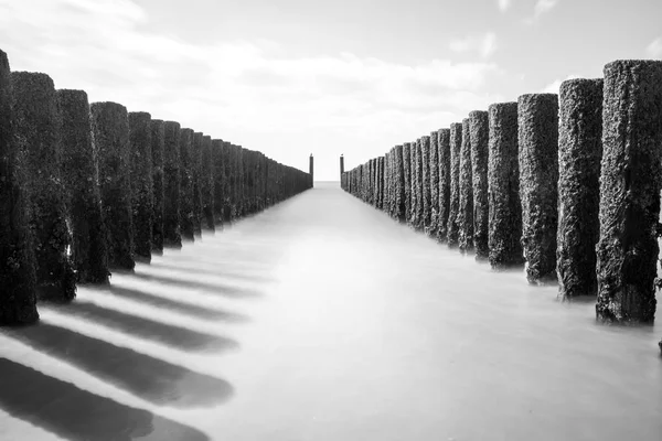 Στις Ακτές Υπάρχουν Ξύλινων Στύλων Που Σπάνε Κύματα — Φωτογραφία Αρχείου