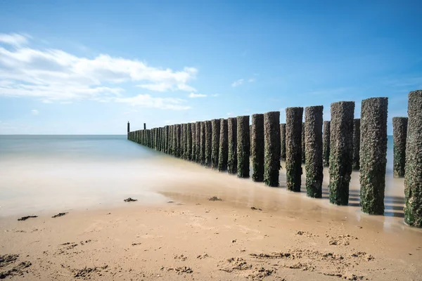 Sur Côte Des Poteaux Bois Qui Brisent Les Vagues — Photo