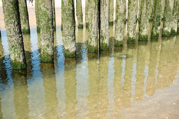Στις Ακτές Υπάρχουν Ξύλινων Στύλων Που Σπάνε Κύματα — Φωτογραφία Αρχείου