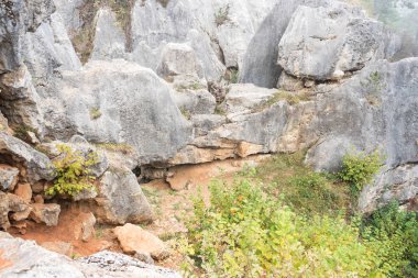 Düden veya doline Le Fondry Des Chiens adlı bir güzel rock ile kırsal Nismes Viroinval içinde yakınındaki tepelerde oluşumdur