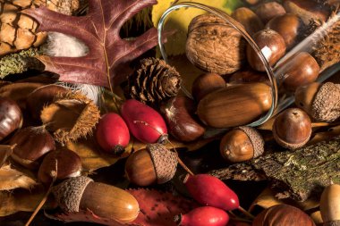 meyve ağaçları bir cam ile sonbahar sırasında