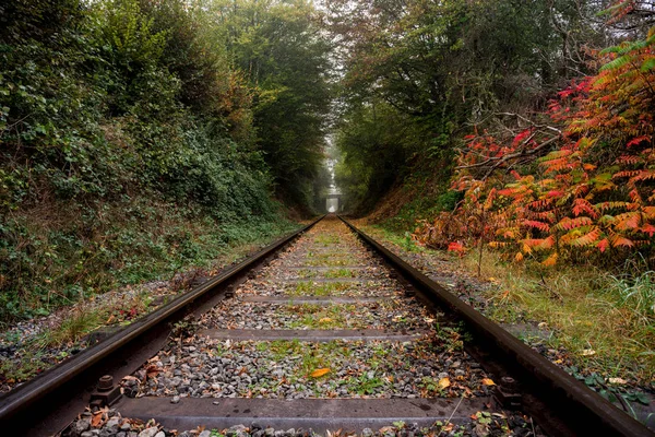 Uma Manhã Enevoada Longo Ferrovia Floresta Durante Outono Com Suas — Fotografia de Stock