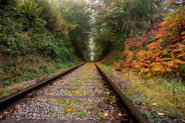 Misty Πρωί Κατά Μήκος Του Σιδηροδρόμου Στο Δάσος Φθινόπωρο Όμορφα — Φωτογραφία Αρχείου