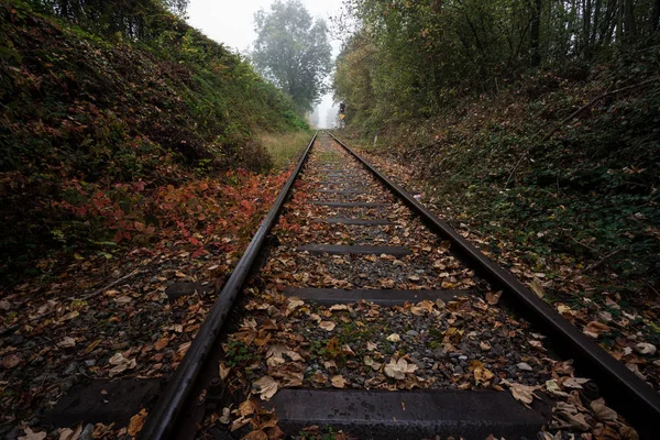 Una Mañana Brumosa Largo Del Ferrocarril Bosque Durante Otoño Con — Foto de Stock