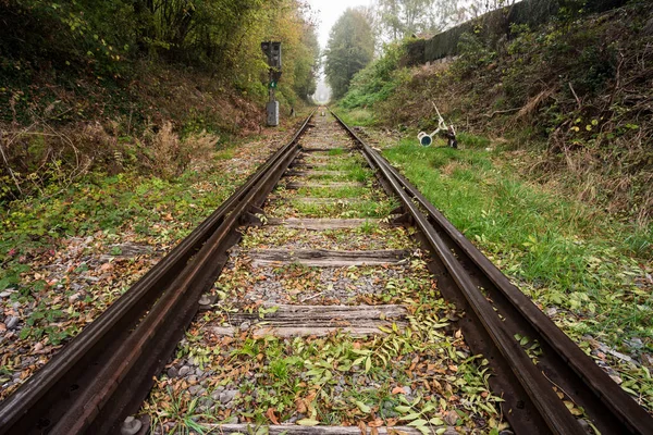 Una Mañana Brumosa Largo Del Ferrocarril Bosque Durante Otoño Con — Foto de Stock