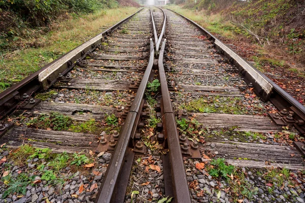 その美しい美しい色と秋の間に森の中の鉄道に沿って霧の深い朝 — ストック写真