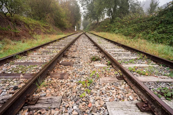 その美しい美しい色と秋の間に森の中の鉄道に沿って霧の深い朝 — ストック写真