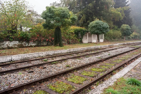 Una Mañana Brumosa Largo Del Ferrocarril Una Pequeña Ciudad Durante —  Fotos de Stock