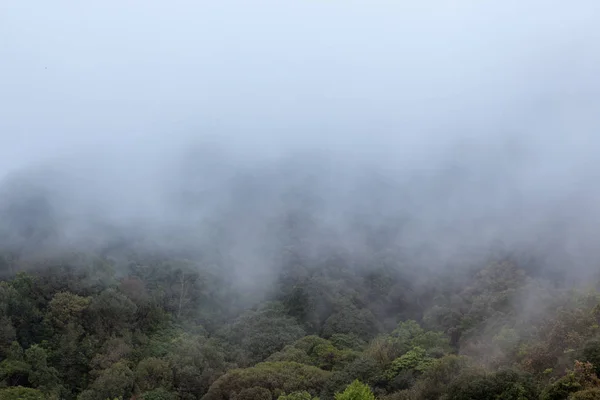 Las Montañas Hay Una Espesa Niebla Sobre Bosque — Foto de Stock