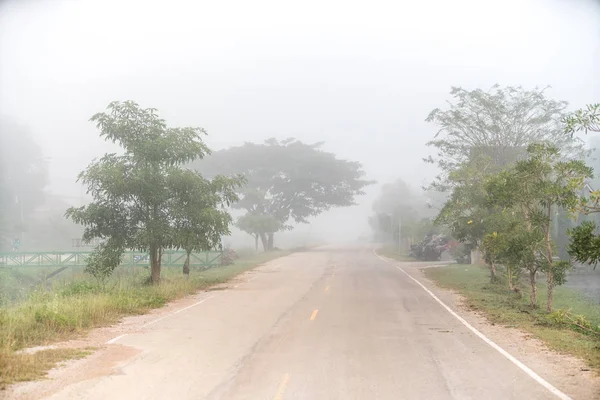 Camino Con Hermoso Árbol Niebla — Foto de Stock