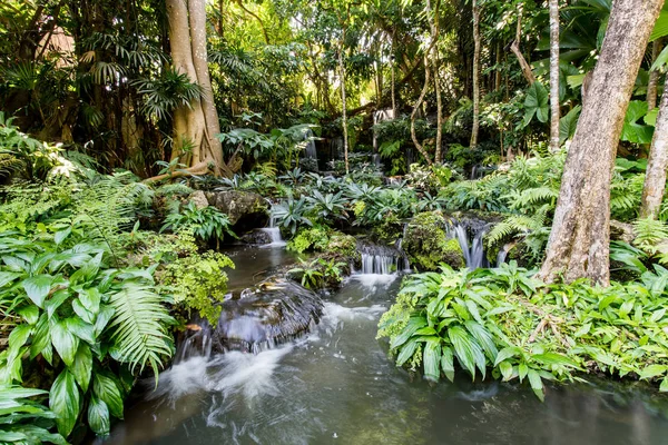 Mélyen Erdőben Gyönyörű Vízesés Teszi Utat Fák — Stock Fotó
