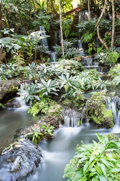 Mélyen Erdőben Gyönyörű Vízesés Teszi Utat Fák — Stock Fotó