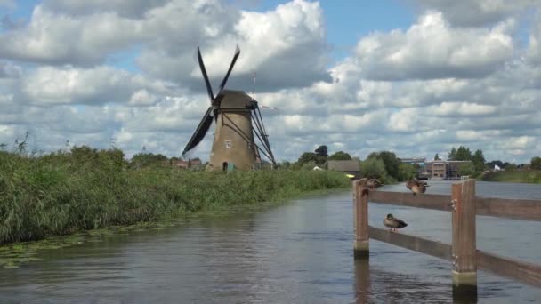 Auf Dem Wasser Gibt Mehrere Windmühlen Kinderdijk Holland — Stockvideo
