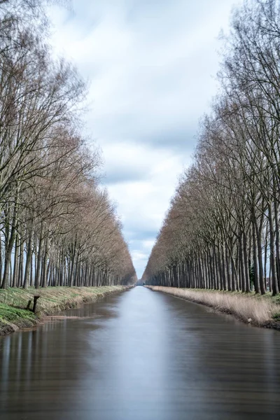 Arbre le long de la rivière — Photo