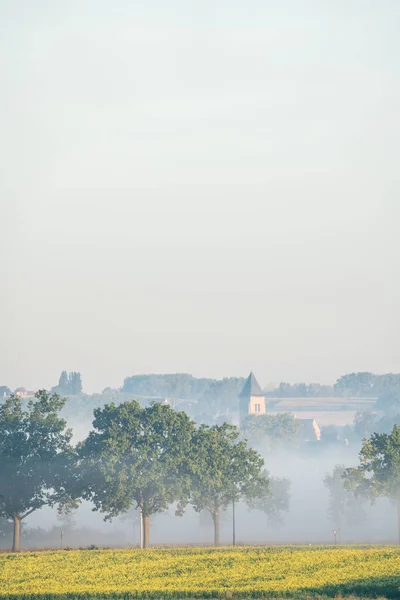 En una mañana hermosa temprano — Foto de Stock