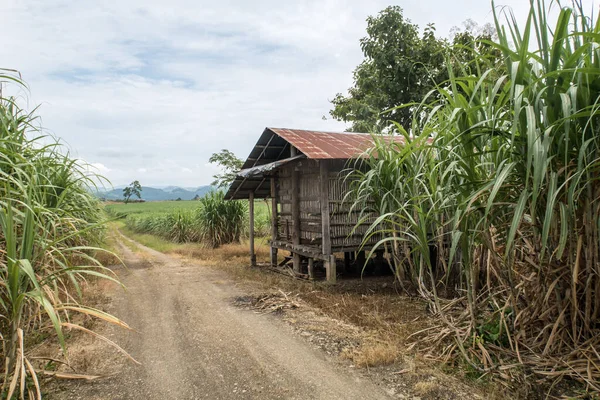 Maison en bois thaï sur le terrain — Photo