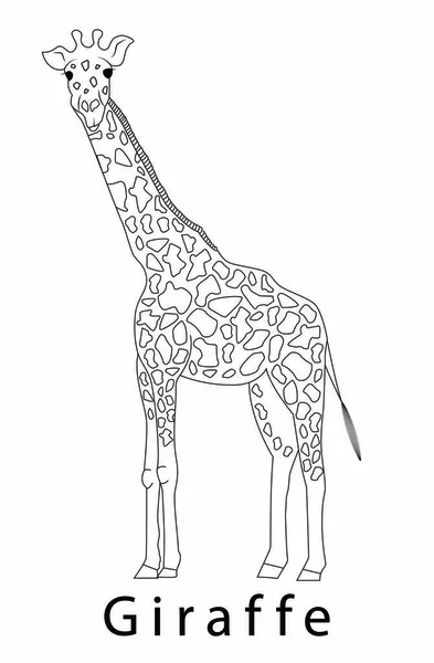 Projeto de ícone do modelo de logotipo Giraffe —  Vetores de Stock