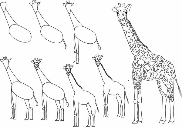 Modèle de logo girafe icône design — Image vectorielle