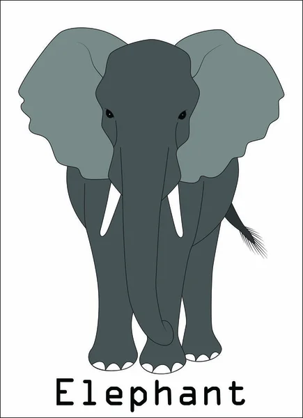 Graphismes silhouette éléphant daigner Illustration — Image vectorielle