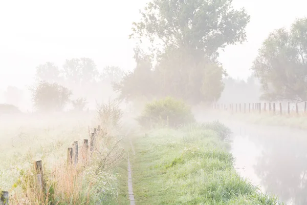 Dieser Wunderschöne Bach Fließt Frühmorgens Entlang Des Fußweges Mit Nebelbänken — Stockfoto