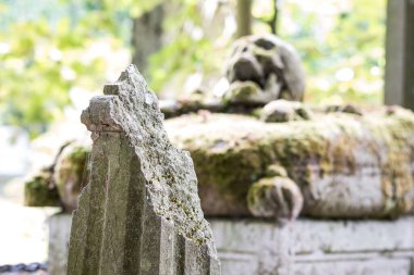 Mezarlıkta ya da mezarlıkta, mezar taşında yosun ve paslı çelik zincir olan bir kafatası var..