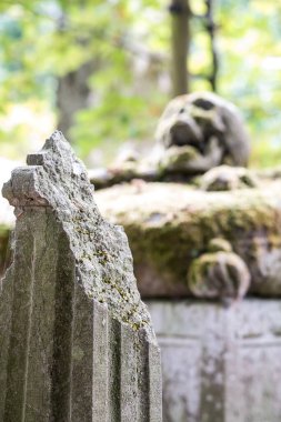 Mezarlıkta ya da mezarlıkta, mezar taşında yosun ve paslı çelik zincir olan bir kafatası var..