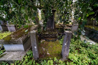 Bu mezar güzel bir ağacın altında duran yosunlarla dolu..