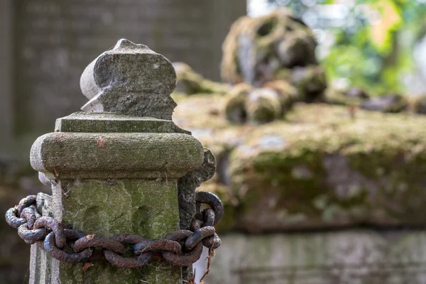 Mezarlıkta ya da mezarlıkta, mezar taşında yosun ve paslı çelik zincir olan bir kafatası var..
