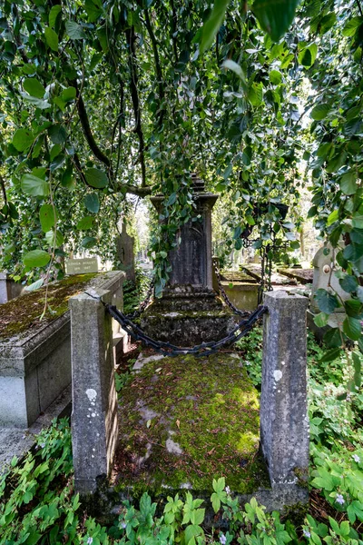 Esta Tumba Está Llena Musgo Que Encuentra Bajo Hermoso Árbol —  Fotos de Stock