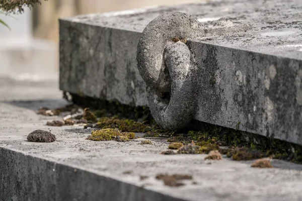 Gammal Kyrkogård Finns Grav Med Ring Sten — Stockfoto