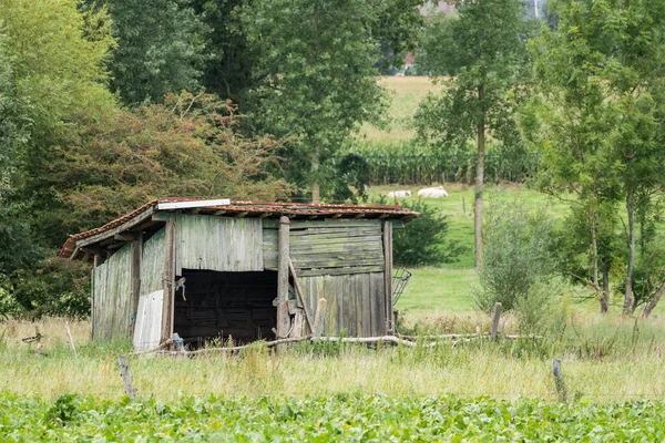 Weide Boerderij Staat Een Oude Versleten Schuur — Stockfoto