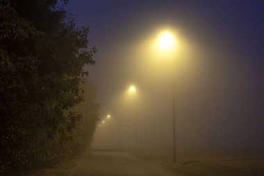 Sisli bir sabahta bu yolu sokak ışıklarıyla aydınlat.