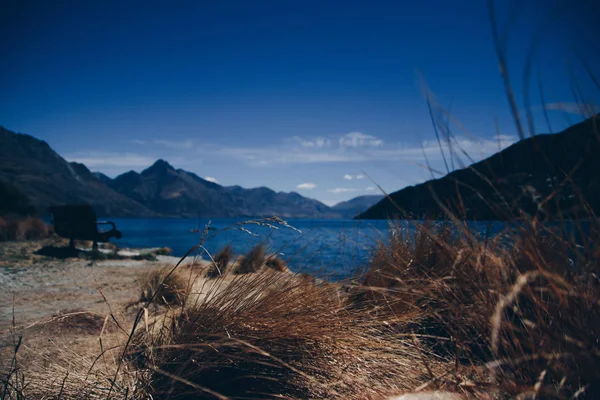 Suché Trávy Písečné Pobřeží Blue Bay Údolí Pohoří Queenstown — Stock fotografie