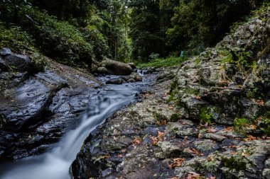 Uzun pozlama ıslak yeşil orman, Yeni Zelanda kayalarda arasında akan su dereye görünümünü