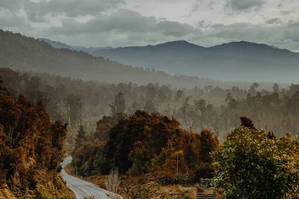 뉴질랜드의 배경에로와 황금가 나무의 — 스톡 사진
