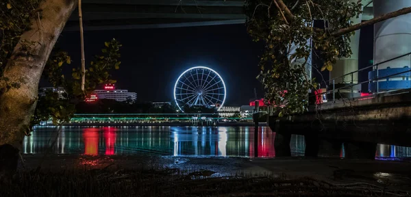 Bela Vista Roda Observação Iluminada Margem Rio Calmo Noite Escura Fotos De Bancos De Imagens Sem Royalties