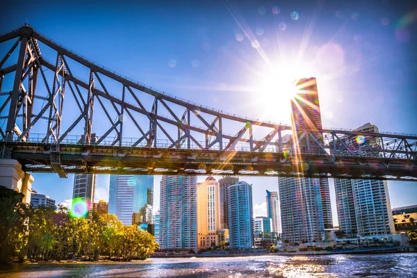 Ponte Brisbane Fogliame Verde Con Fiume Sullo Sfondo Con Città — Foto Stock