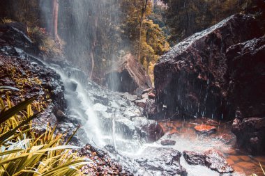Kayadan Gold Coast, Avustralya'nın vahşi doğada düşen su taze su sıçramalarına