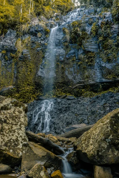 Küçük Dere Yeşil Bitki Örtüsü Içinde Yüksek Kayaların Üzerinden Akan — Stok fotoğraf