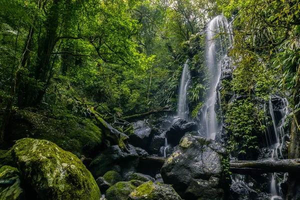 Von Unten Aufnahme Eines Prachtvollen Wasserfalls Inmitten Grüner Bäume Wunderschönen — Stockfoto