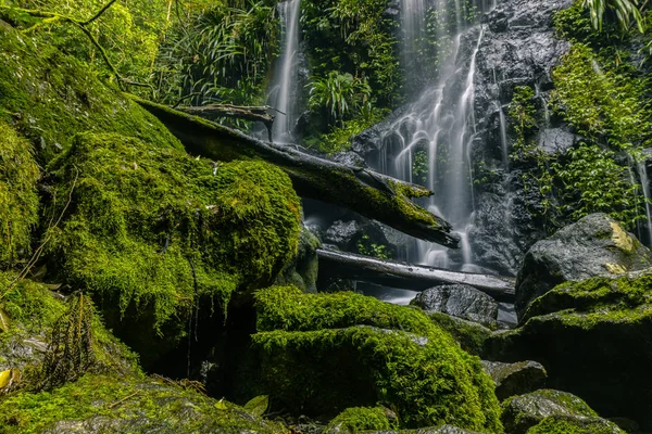 Zielony Omszałych Kamieni Tułowia Spasione Drzewo Leżące Pobliżu Piękny Wodospad — Zdjęcie stockowe