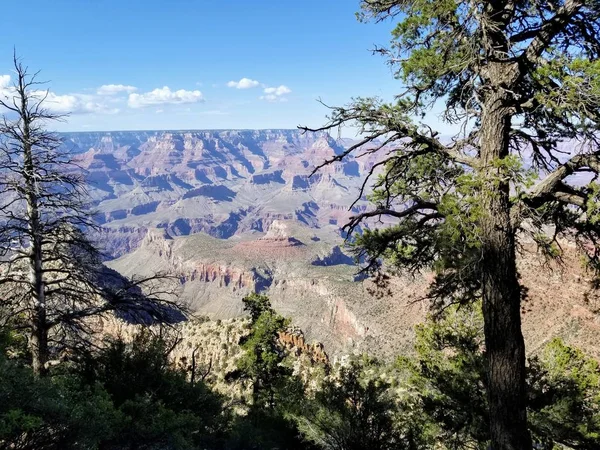 Grand Canyon Arizona'da Yürüyüş
