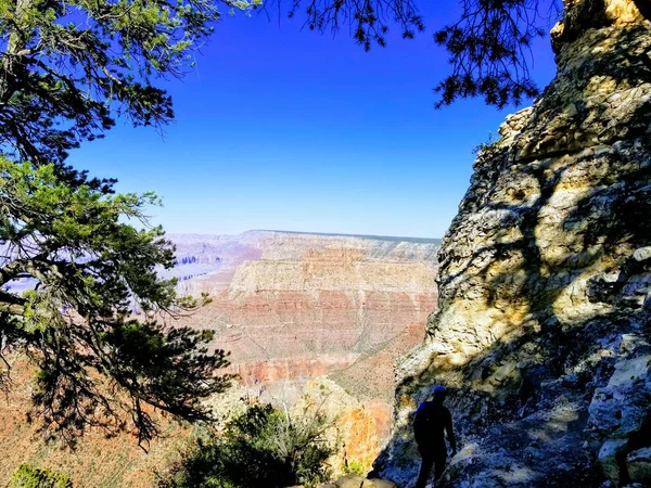 Grand Canyon Arizona'da Yürüyüş