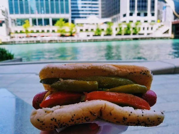Eredeti Hot Dog Chicago Jogdíjmentes Stock Képek