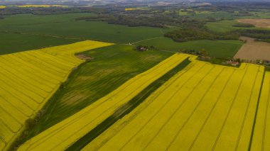 Sarı ve yeşil kolza tohumu tarlaları, göz kamaştırıcı sarı renkler, hava manzarası, Almanya petrol çekirdeği tecavüz tarlaları. Kanola